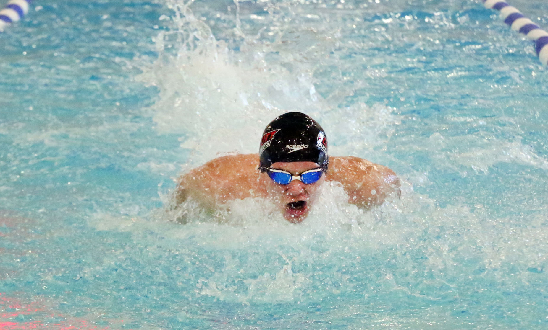 Ocean City Ridley Swimming